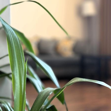 Airport Residence Amber ワルシャワ エクステリア 写真